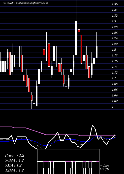  Daily chart GevoInc