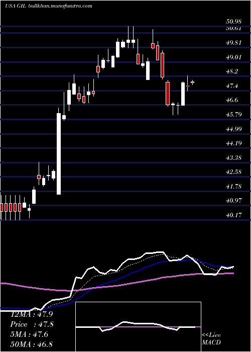  Daily chart GildanActivewear