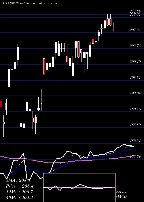  Daily chart Garmin
