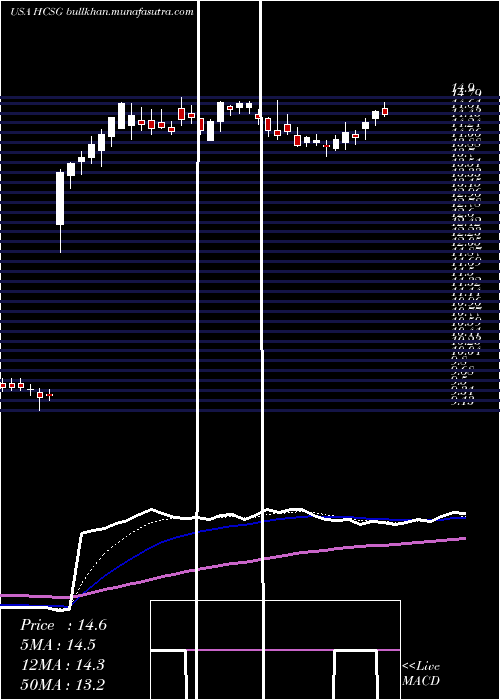  Daily chart HealthcareServices