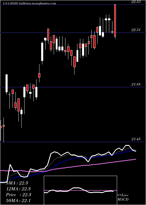  Daily chart WisdomtreeInterest
