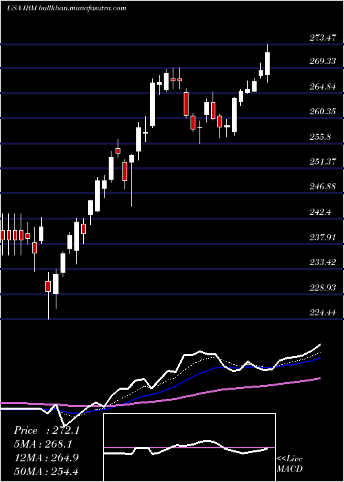  Daily chart InternationalBusiness