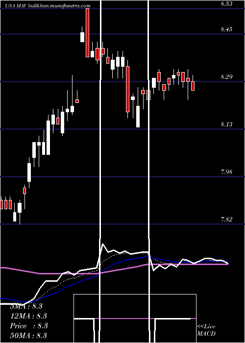  Daily chart PioneerMunicipal