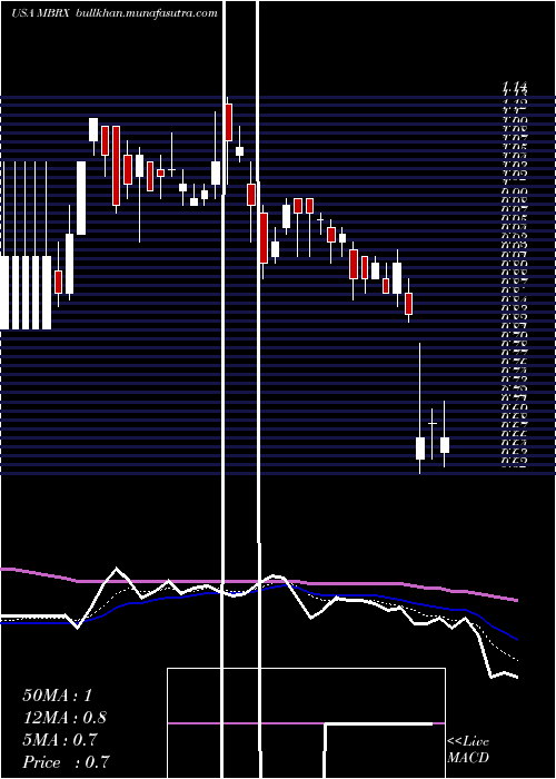  Daily chart MoleculinBiotech