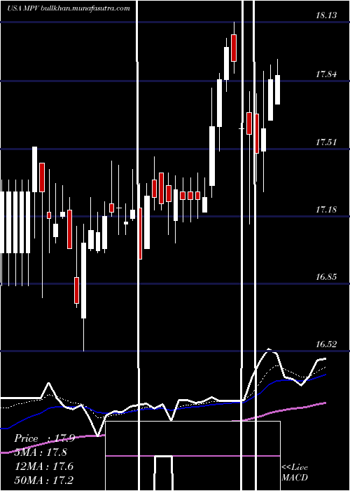  Daily chart BaringsParticipation