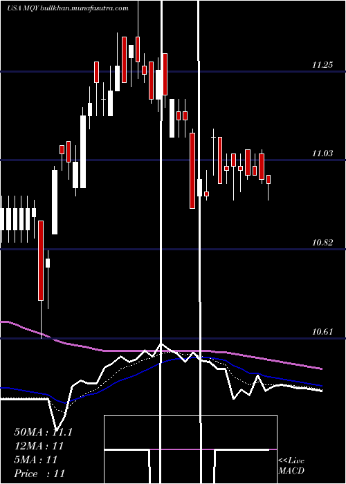  Daily chart BlackrockMuniyield