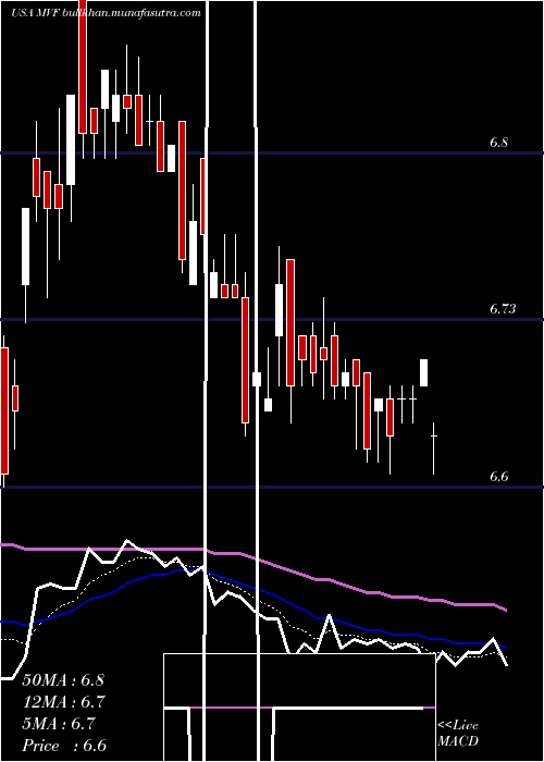 Daily chart MunivestFund