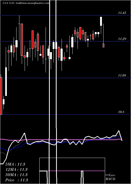  Daily chart NuveenNew