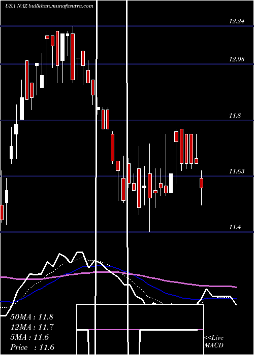  Daily chart NuveenArizona