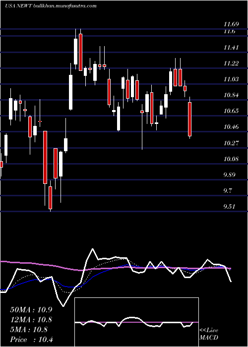  Daily chart NewtekBusiness