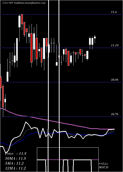  Daily chart NuveenVirginia