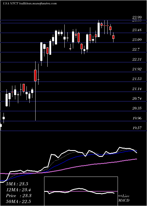  Daily chart NetscoutSystems