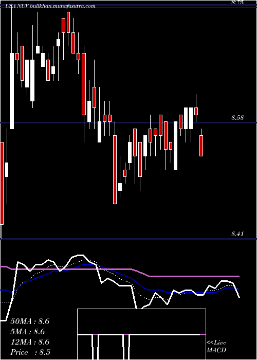  Daily chart NuveenAmt