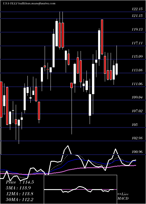  Daily chart OllieS