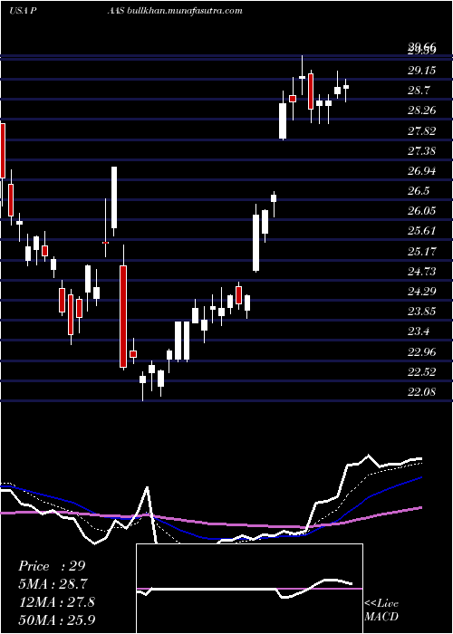  Daily chart PanAmerican