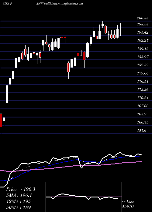  Daily chart PaloAlto