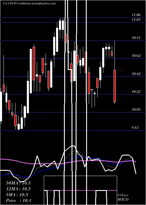  Daily chart PureCycle