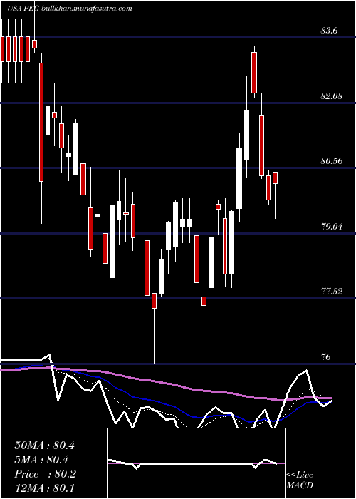  Daily chart PublicService