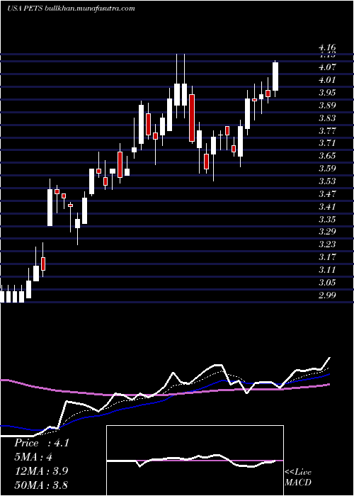  Daily chart PetmedExpress