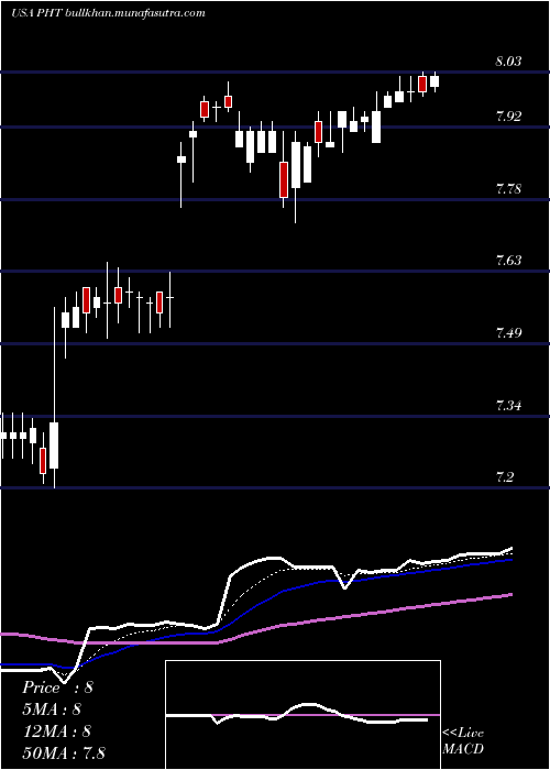  Daily chart PioneerHigh