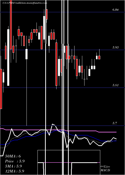  Daily chart PutnamManaged