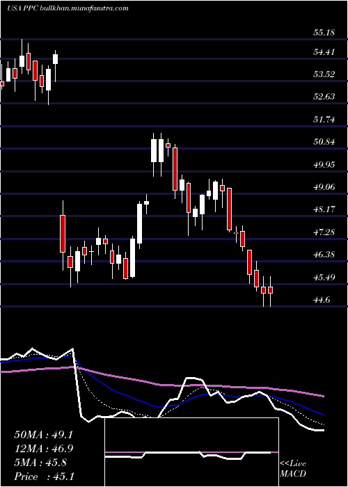  Daily chart PilgrimS