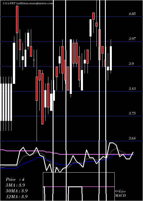  Daily chart PermrockRoyalty