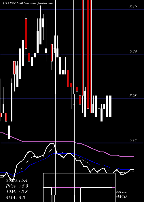  Daily chart PimcoNew
