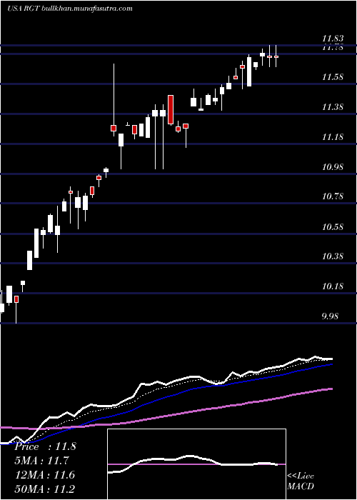  Daily chart RoyceGlobal