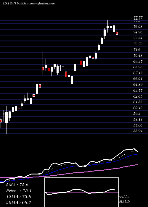  Daily chart SonicAutomotive