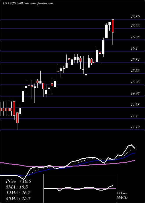  Daily chart LmpCapital