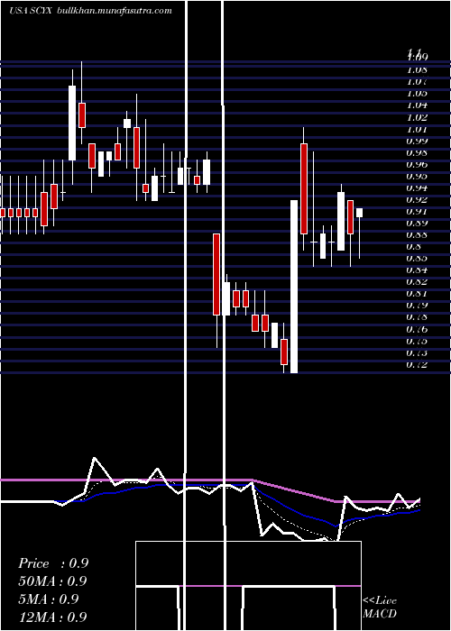  Daily chart ScynexisInc