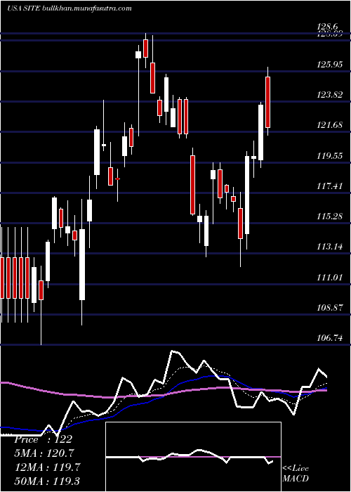  Daily chart SiteoneLandscape