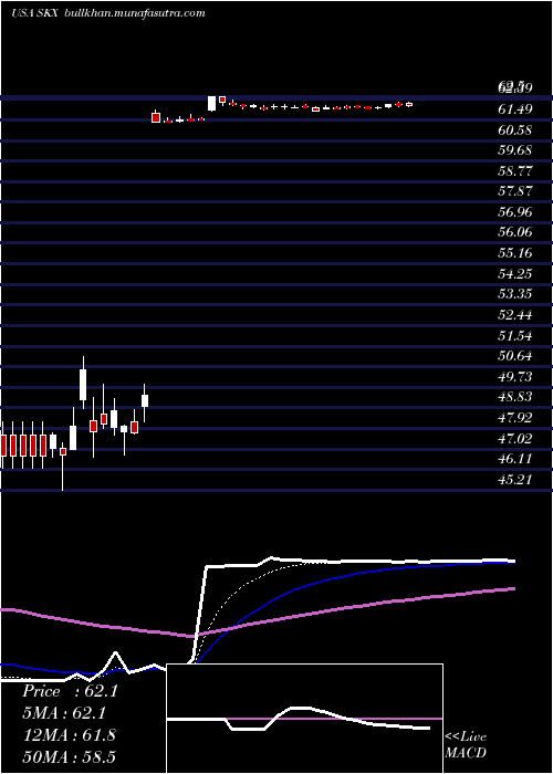  Daily chart SkechersU