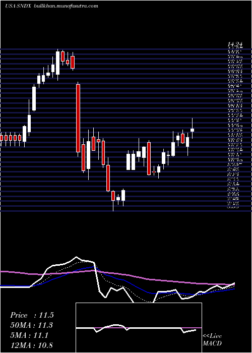  Daily chart SyndaxPharmaceuticals