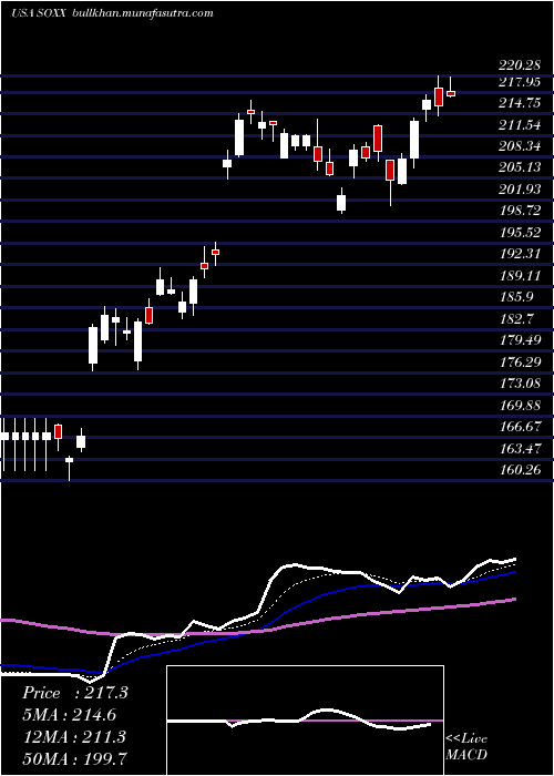  Daily chart IsharesPhlx