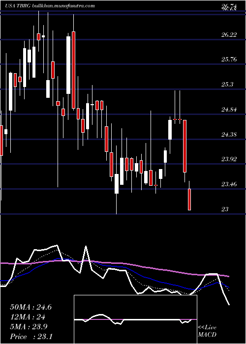  Daily chart ThunderBridge