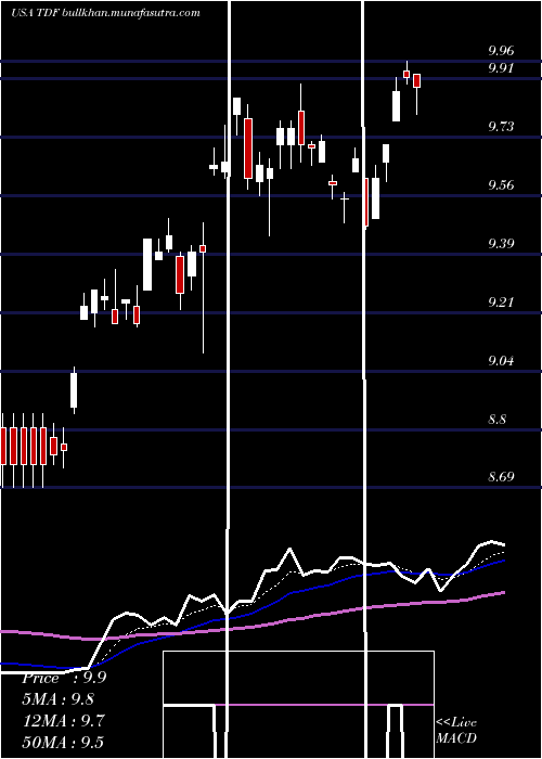  Daily chart TempletonDragon