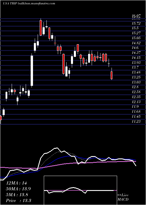  Daily chart TripadvisorInc