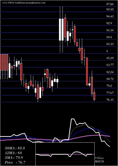  Daily chart TranscatInc