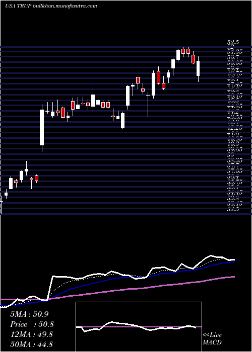  Daily chart TrupanionInc