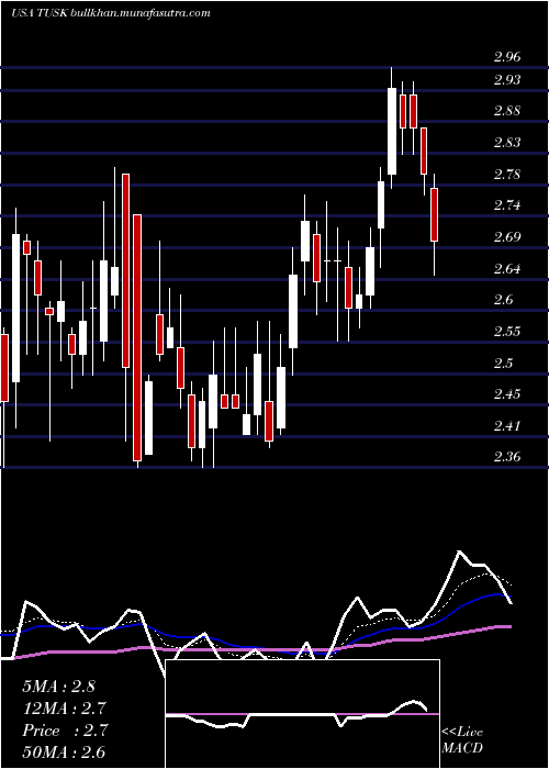  Daily chart MammothEnergy