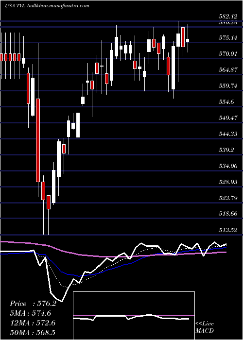  Daily chart TylerTechnologies