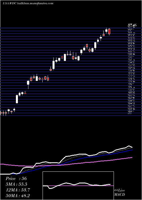  Daily chart WesternDigital