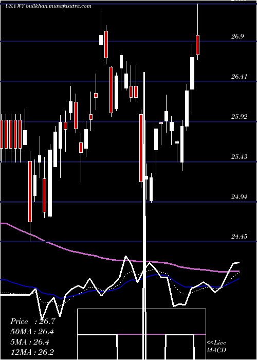  Daily chart WeyerhaeuserCompany