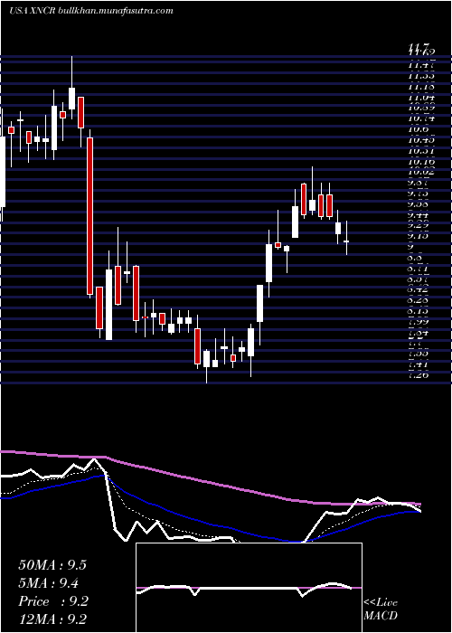  Daily chart XencorInc