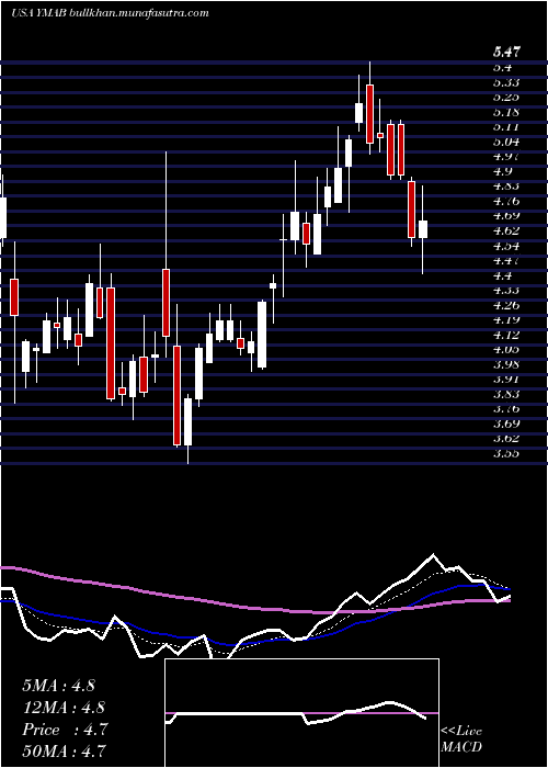  Daily chart YMabs