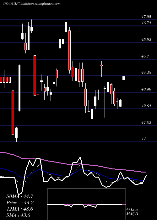  Daily chart YumChina